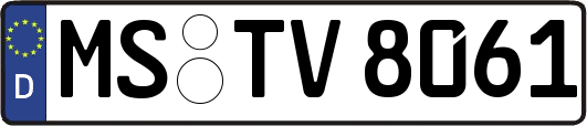MS-TV8061