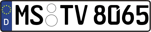 MS-TV8065