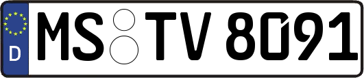 MS-TV8091