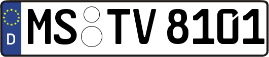 MS-TV8101