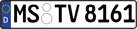 MS-TV8161