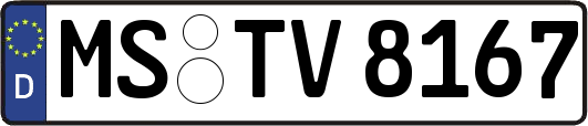 MS-TV8167