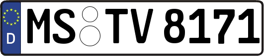 MS-TV8171