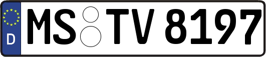 MS-TV8197
