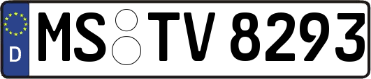 MS-TV8293