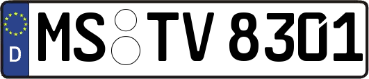 MS-TV8301
