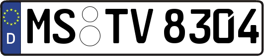 MS-TV8304