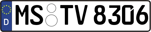MS-TV8306