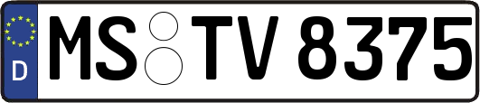 MS-TV8375