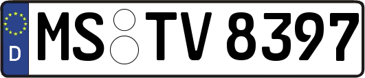 MS-TV8397