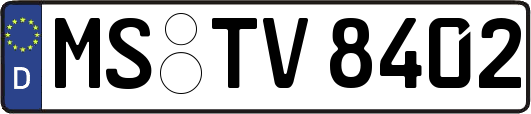 MS-TV8402