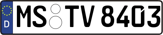 MS-TV8403