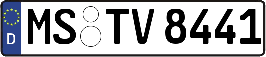 MS-TV8441