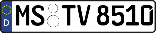 MS-TV8510