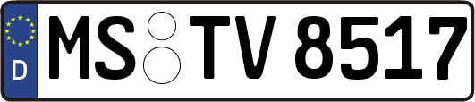 MS-TV8517
