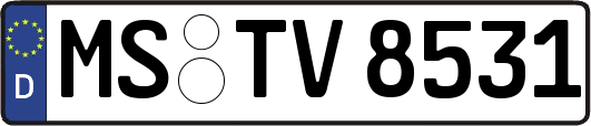 MS-TV8531