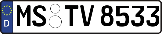 MS-TV8533