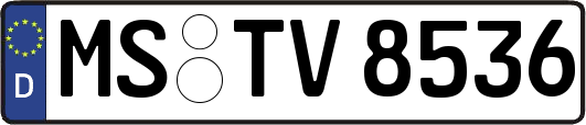 MS-TV8536