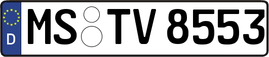 MS-TV8553