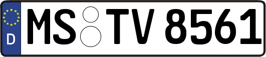 MS-TV8561