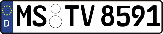 MS-TV8591