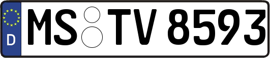 MS-TV8593