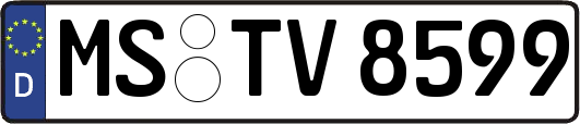 MS-TV8599