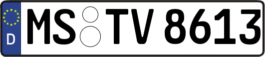 MS-TV8613
