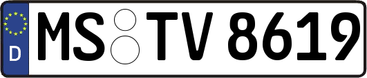 MS-TV8619