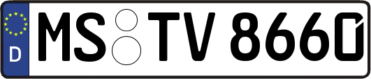 MS-TV8660