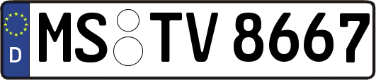 MS-TV8667