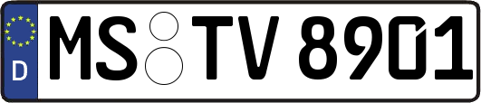 MS-TV8901
