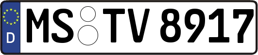 MS-TV8917