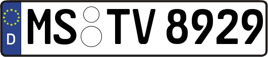 MS-TV8929
