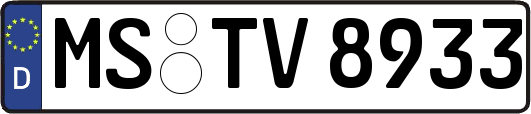 MS-TV8933