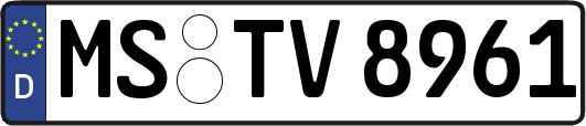 MS-TV8961