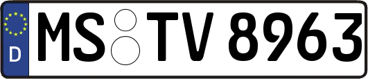 MS-TV8963