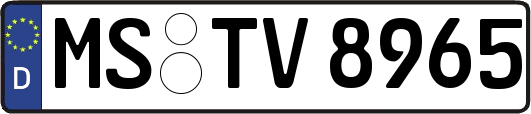 MS-TV8965
