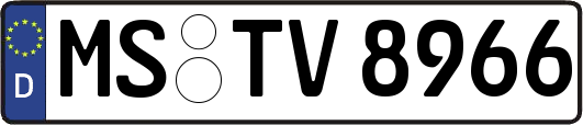 MS-TV8966