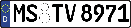 MS-TV8971