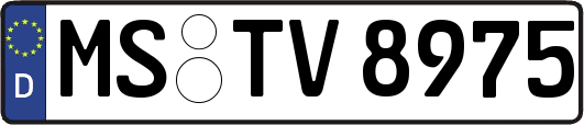 MS-TV8975
