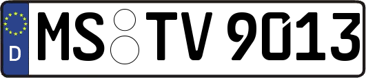 MS-TV9013