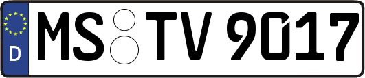 MS-TV9017