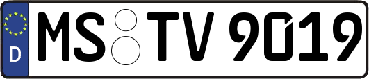 MS-TV9019