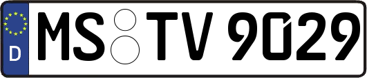 MS-TV9029