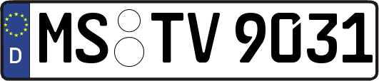 MS-TV9031