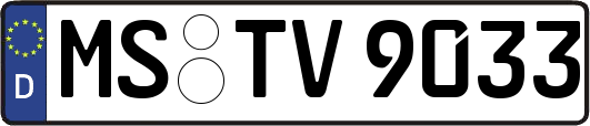 MS-TV9033