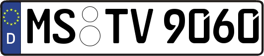 MS-TV9060