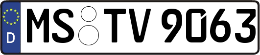 MS-TV9063