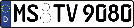 MS-TV9080